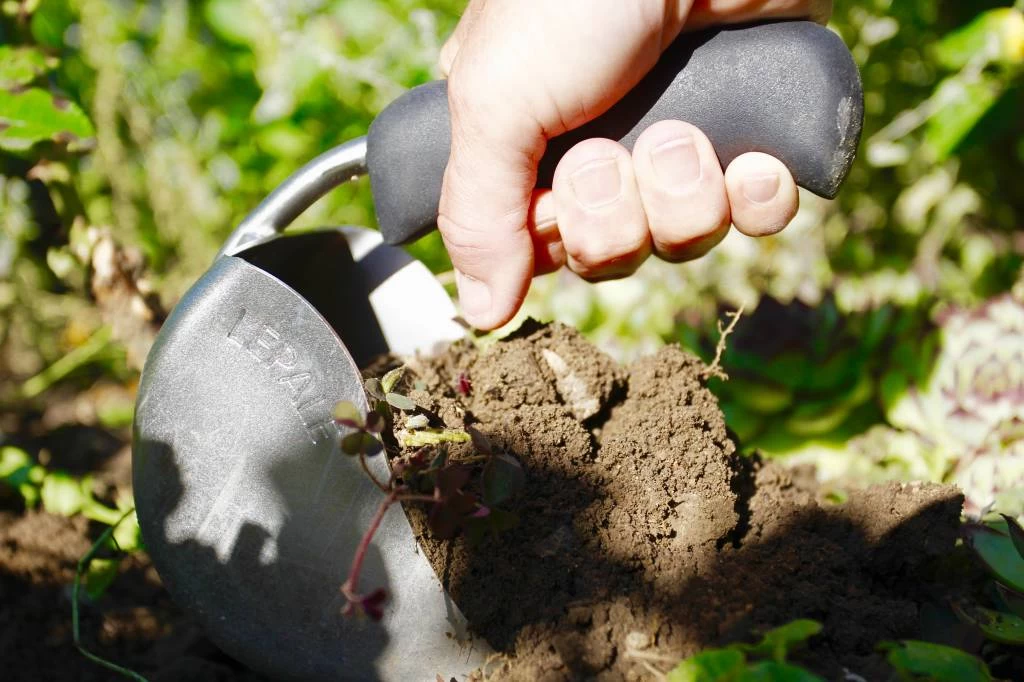 Lepale Lepale Lesotho, Voor Je Tuin, Beroep En Passie! - Afbeelding 2
