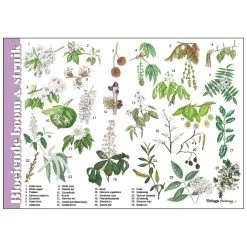 Tringa Paintings Herkenningskaart Natuur Bloeiende Boom & Struik