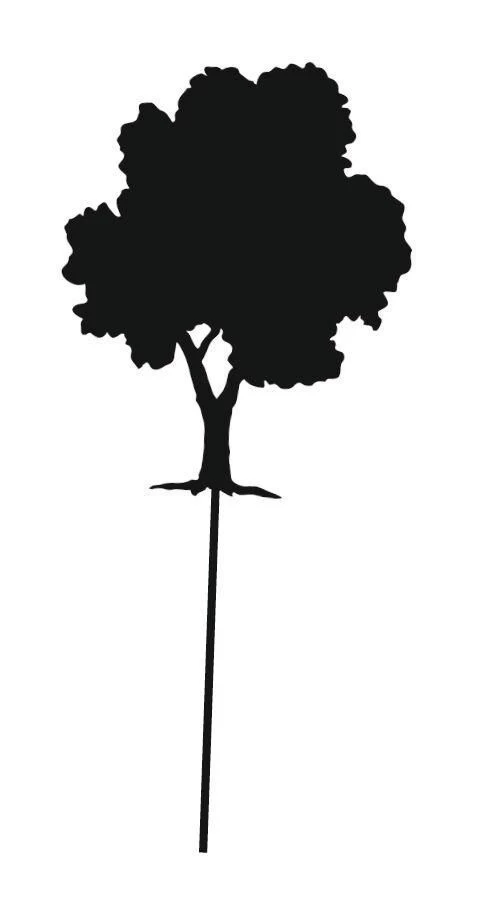 Moses -expeditie Natuur De Grote Experimentenbox Met Licht En Kleur - Afbeelding 9