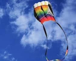 HQ Vliegspeelgoed Vlieger Matras, Parafoil Single Line Kite - Afbeelding 5