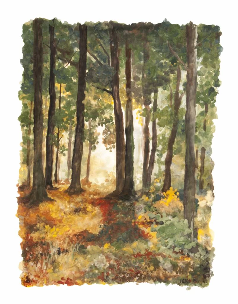 Natural Earth Paint Natuurlijke Kinderverf En Kunstverf Natuurlijke Gifvrije En Glutenvrije Kinderverf Kit Experience - Afbeelding 2