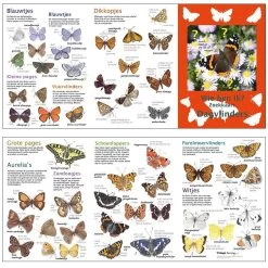 Tringa Paintings Wie Ben Ik? Compacte Zoekkaart Dagvlinders